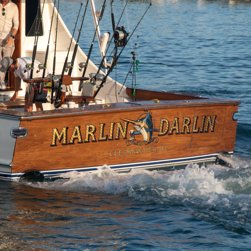 Marlin Darlin photo