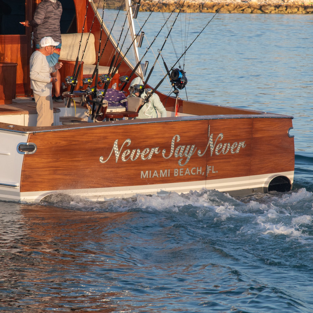 Never Say Never photo