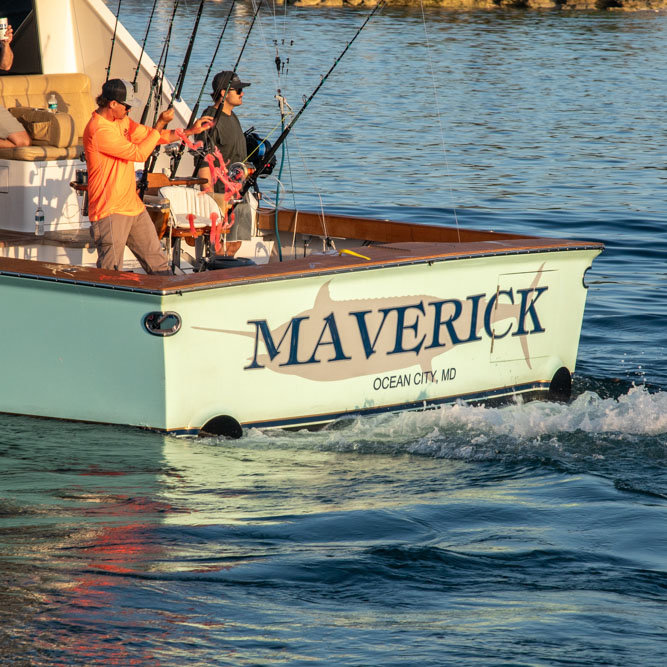 Maverick photo