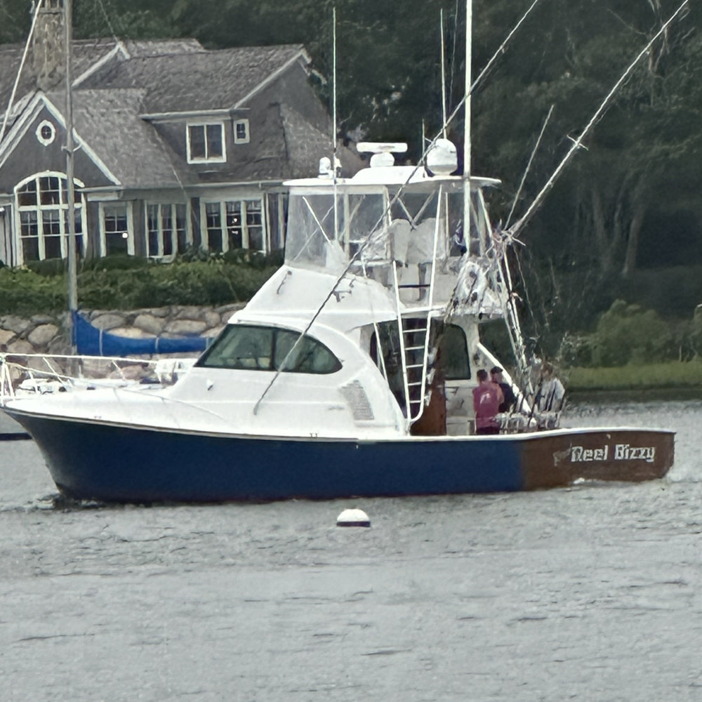 Knot Reel Bizzy photo