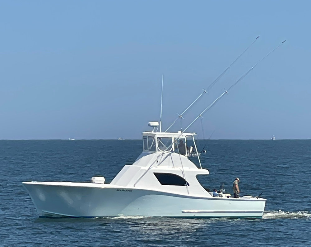 #36 - Sea Reaper photo