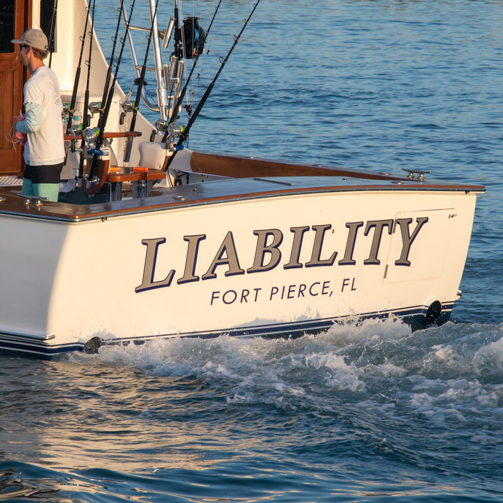 Liablility photo