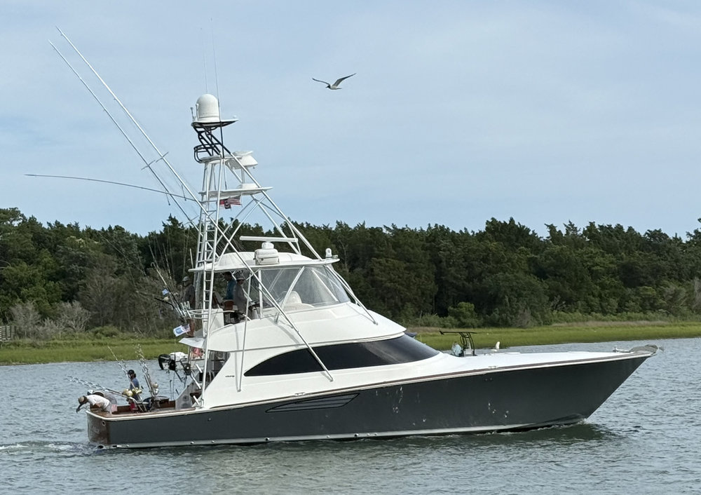 Southern Grace  photo