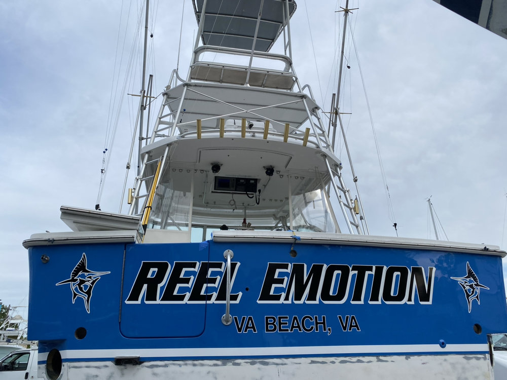 #29 - Reel Emotion photo