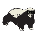 Sea Badger  photo