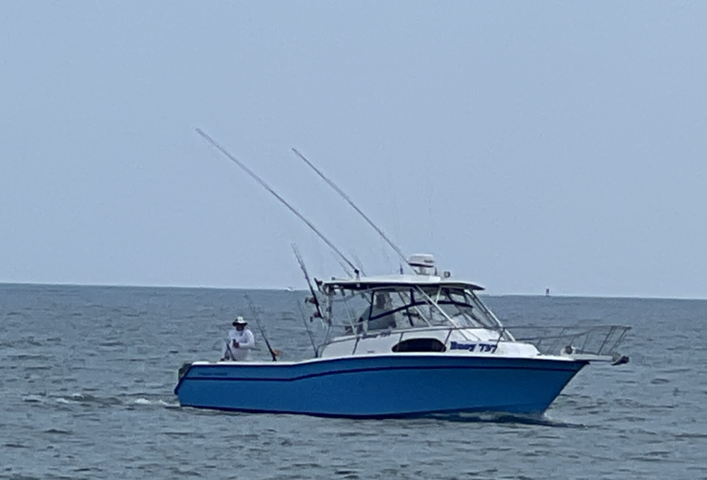 Buoy 737 photo