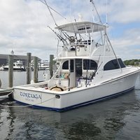 Tortuga