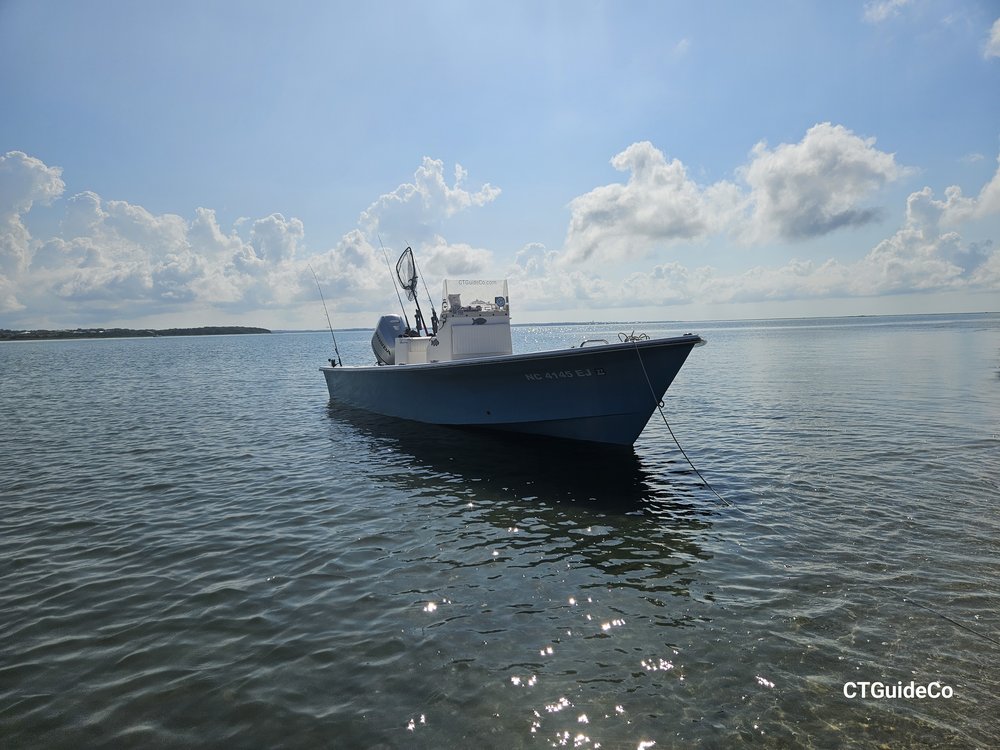 #17 - Tide Matters photo