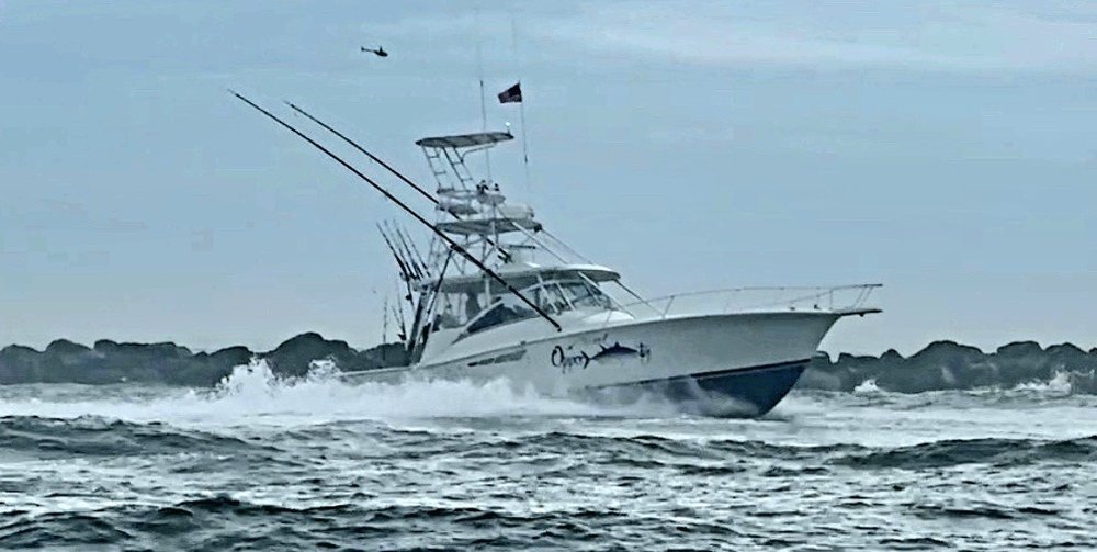 #33 - REEL OPPOR-TUNA-TY