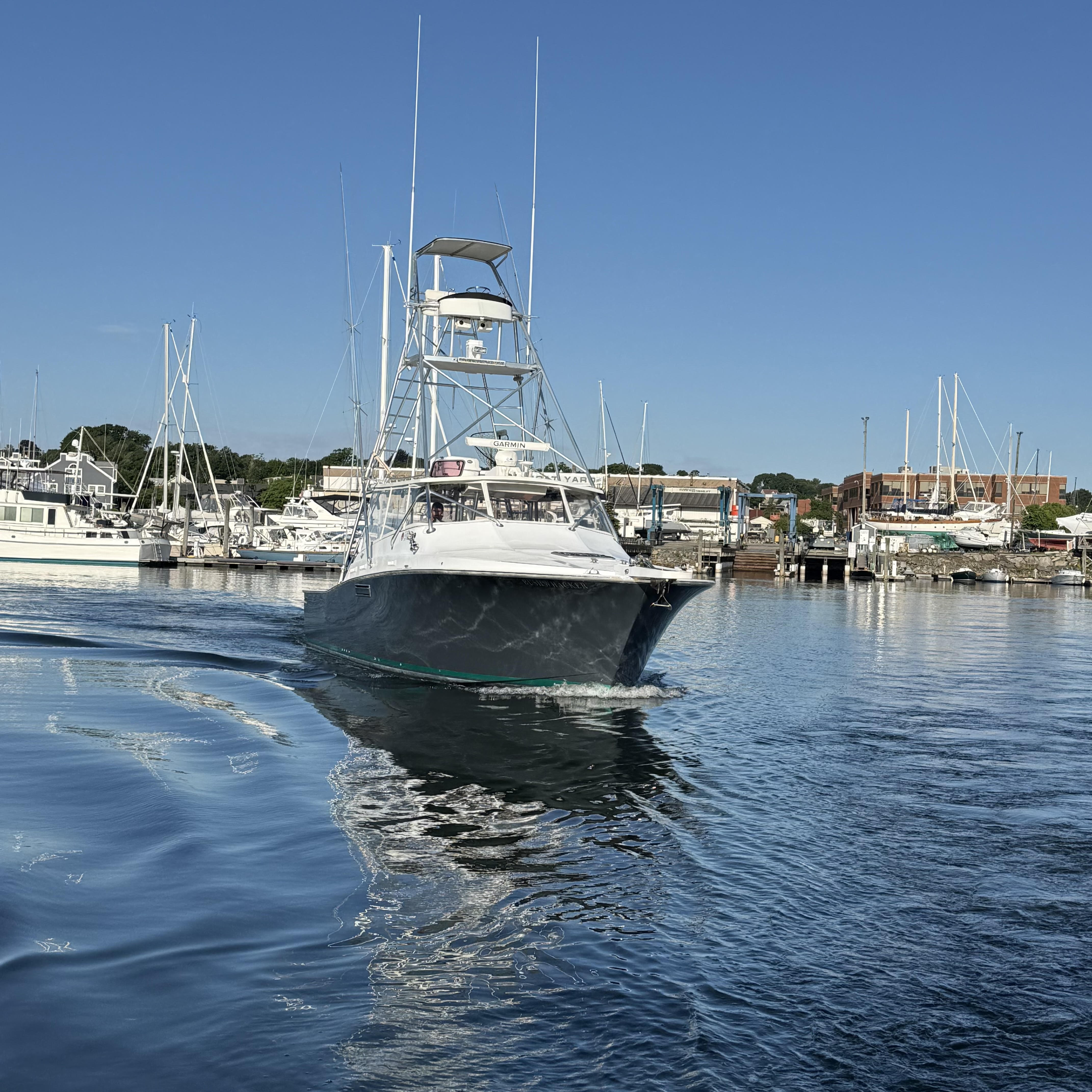 Bushwhacker