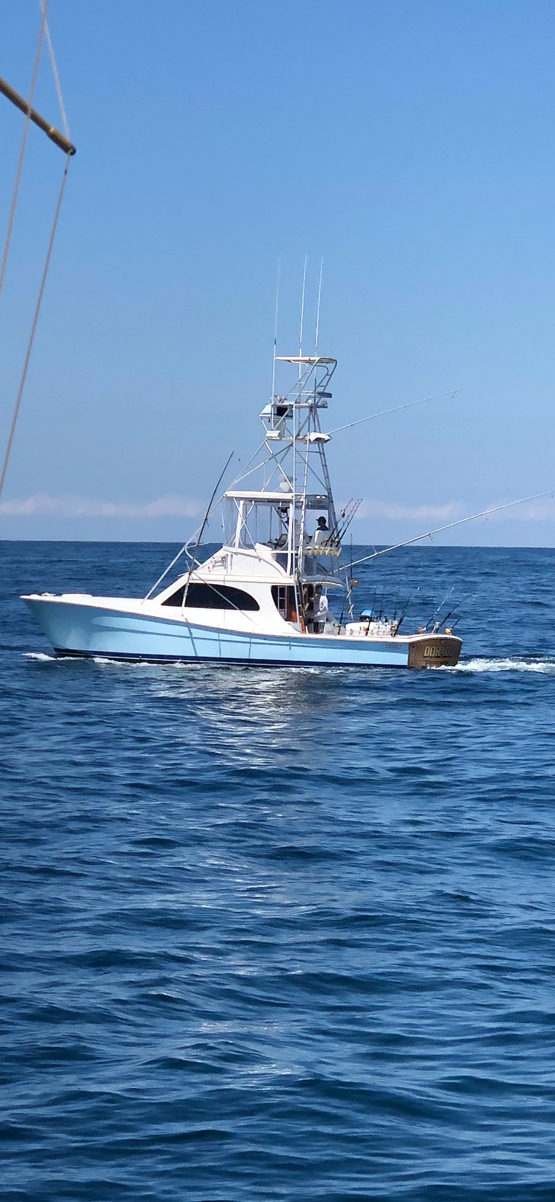 Dorado
