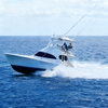 Dock Fees