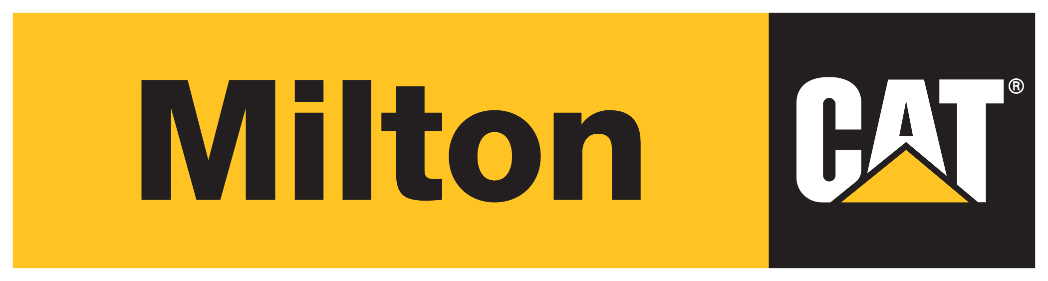 Milton Cat