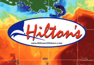 Hiltons Realtime Navigator