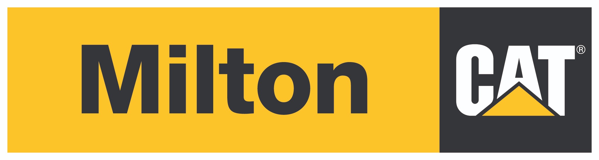 Milton Cat