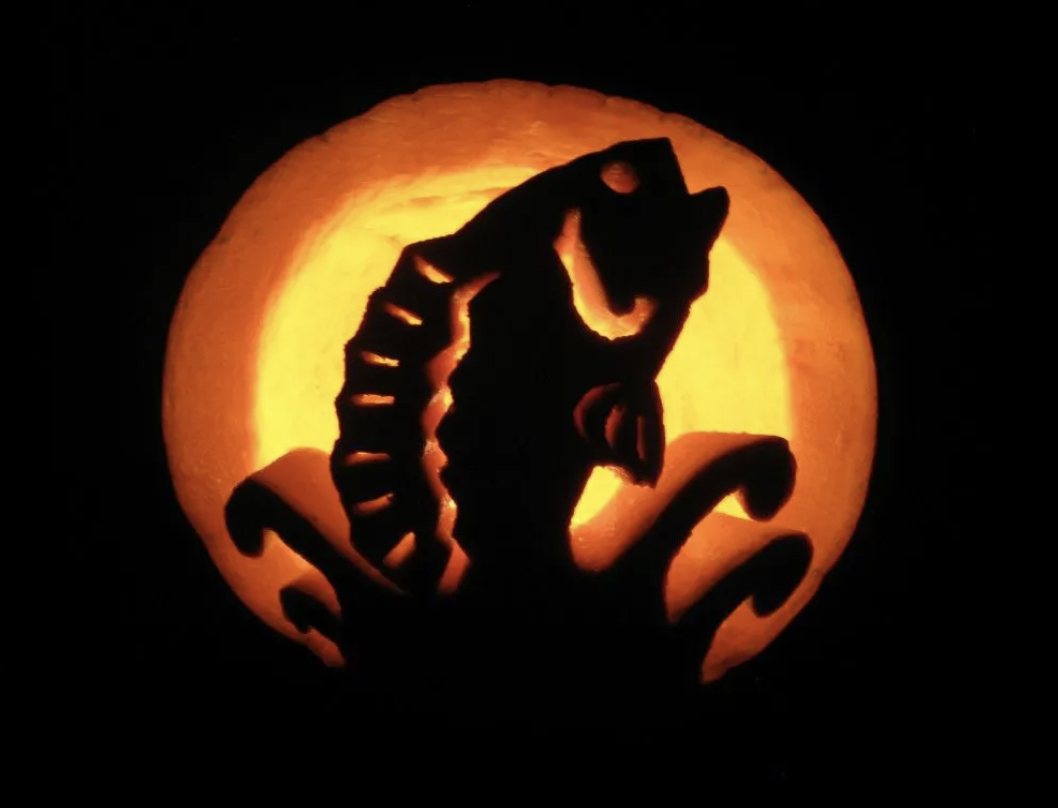 MRMTC Fall Striped Bass Tournament