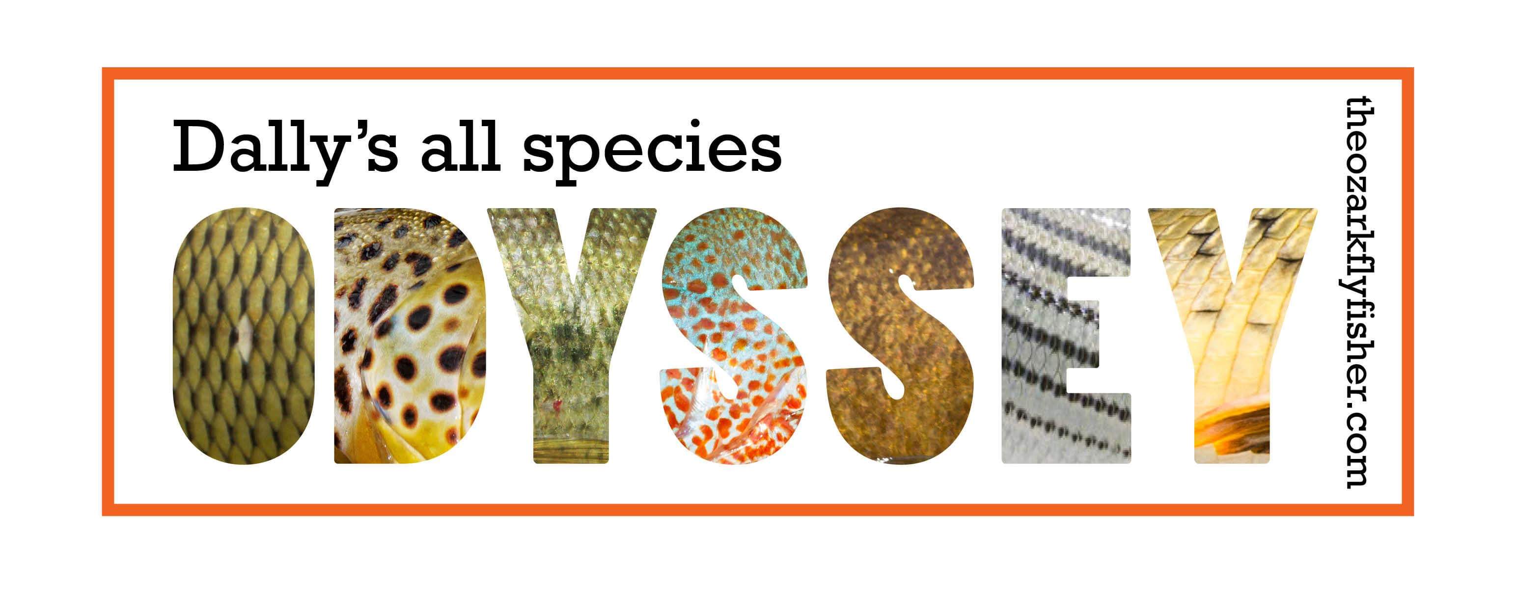 Dally’s All Species Odyssey