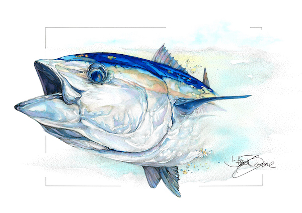 MRMTC Club Bluefin Tuna Tournament